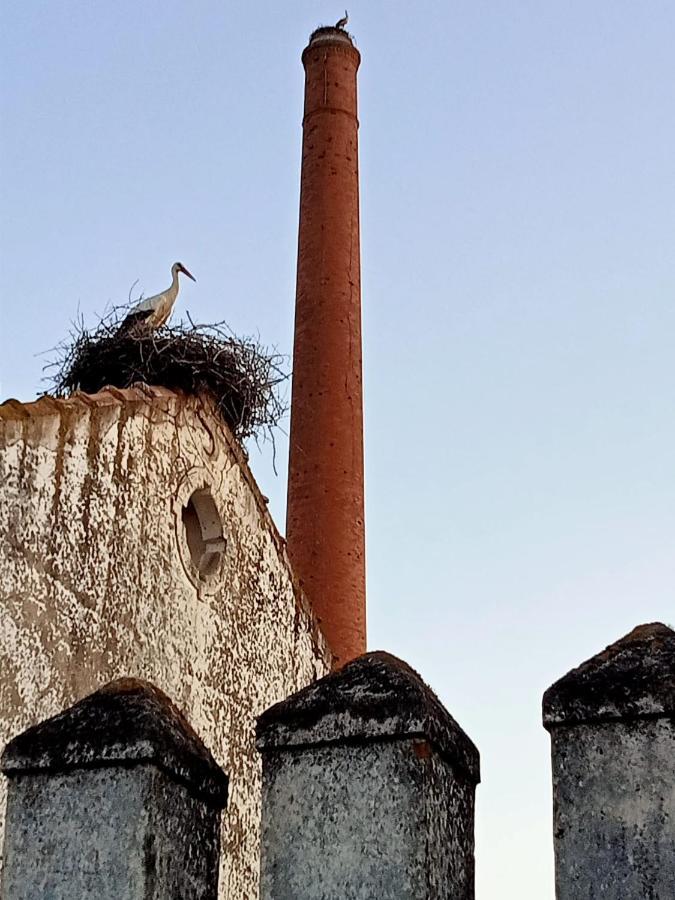 Retiro Da Cegonha Villa Crato Luaran gambar