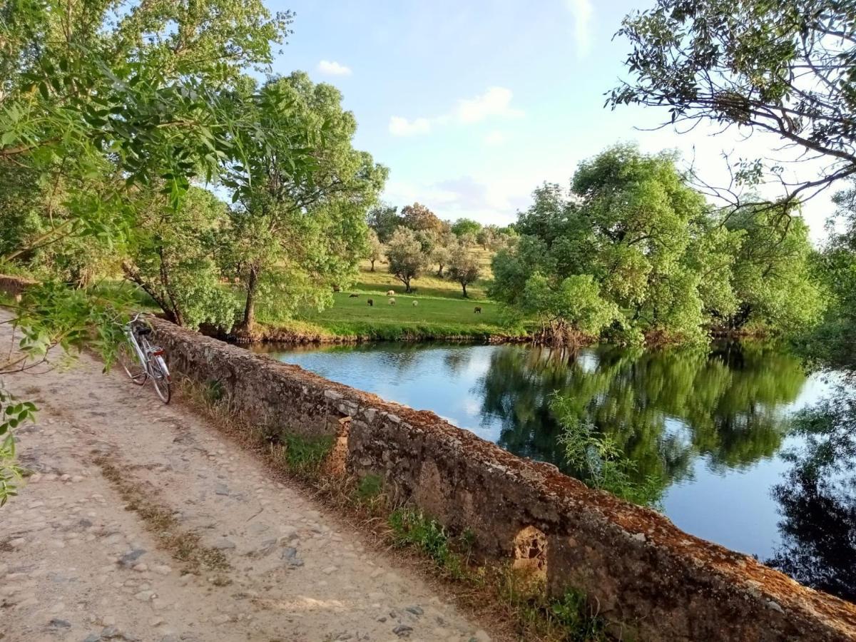 Retiro Da Cegonha Villa Crato Luaran gambar
