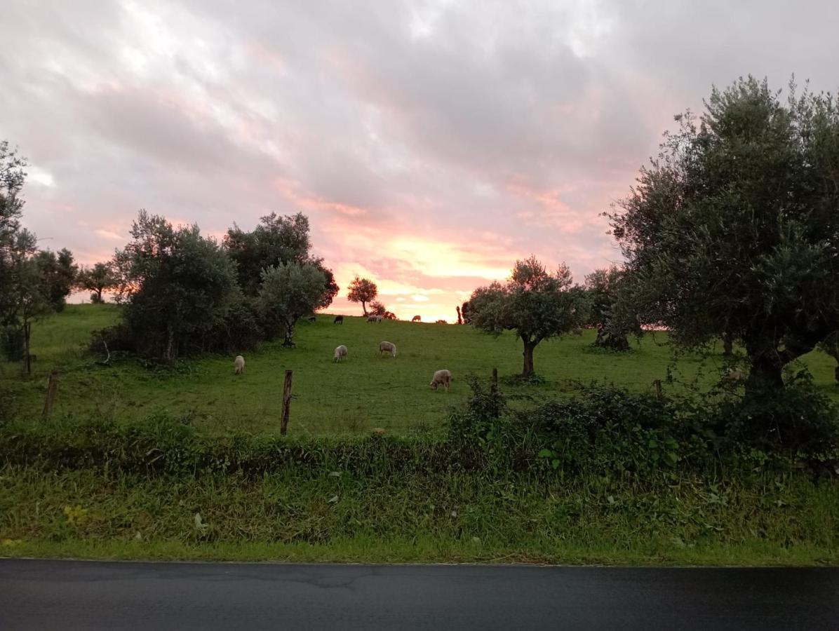 Retiro Da Cegonha Villa Crato Luaran gambar