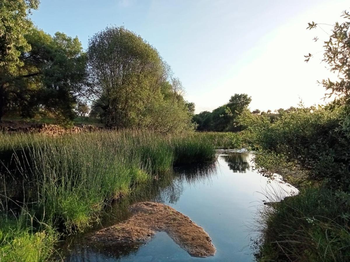 Retiro Da Cegonha Villa Crato Luaran gambar